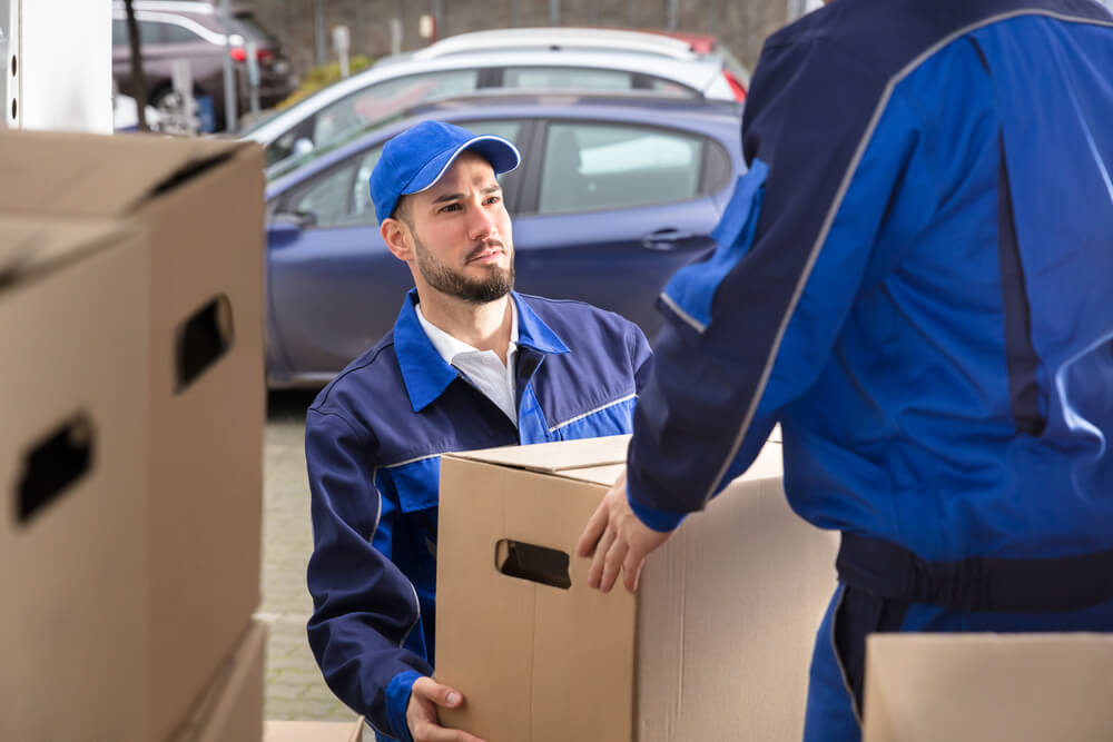 Professional Movers