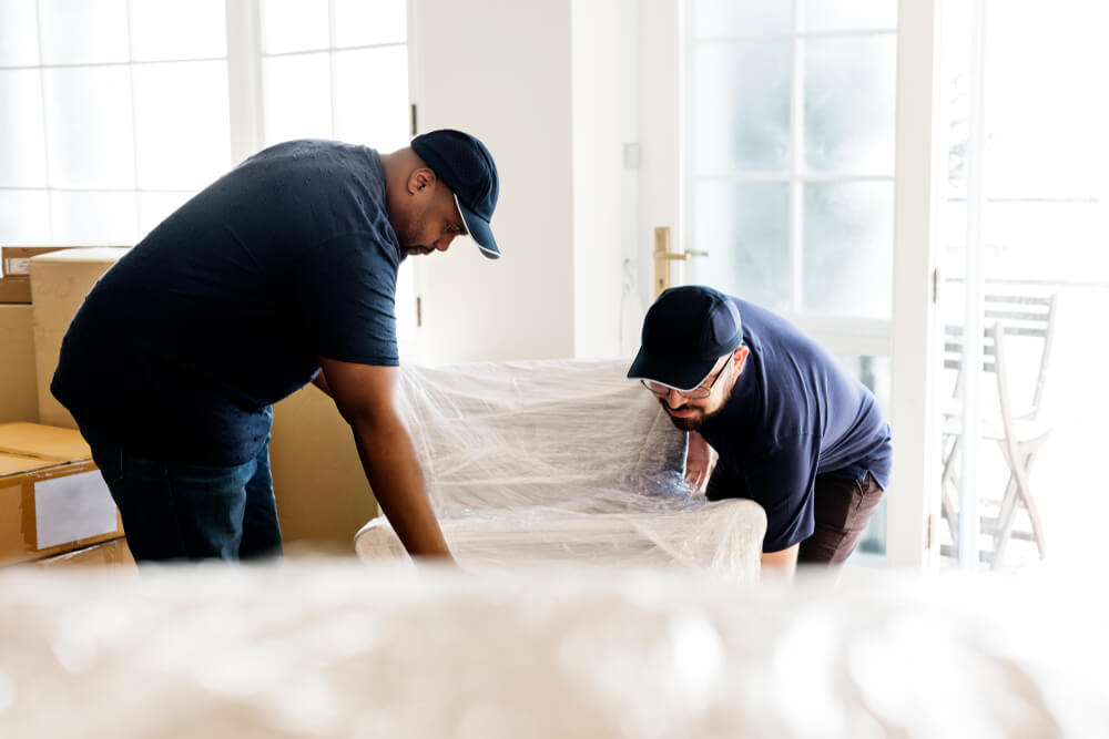 Long-Distance Moving Expertise