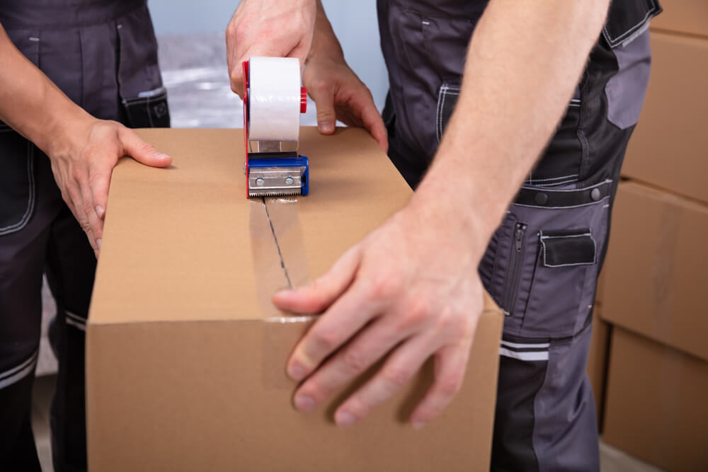 Professional Moving Services