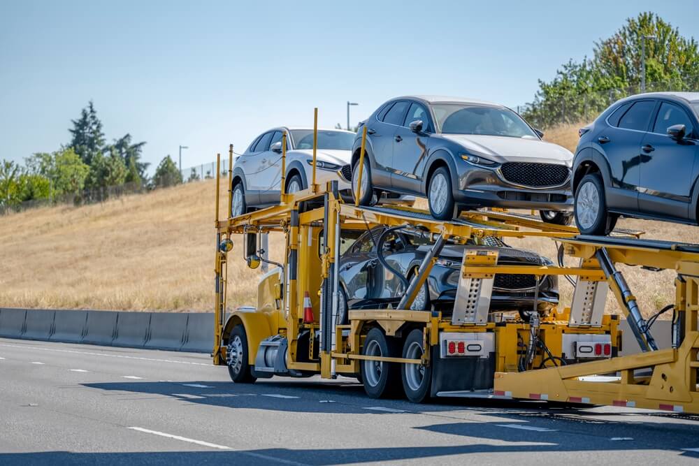 Professional Enclosed Car Carrier