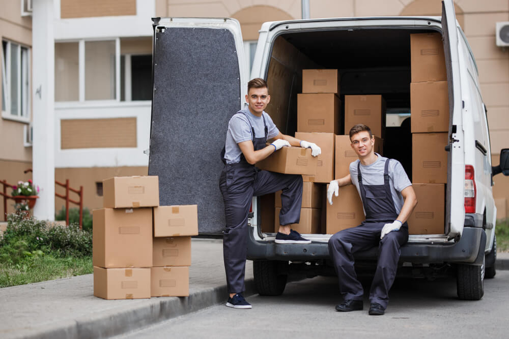 Stress-Free Moving Day Solutions